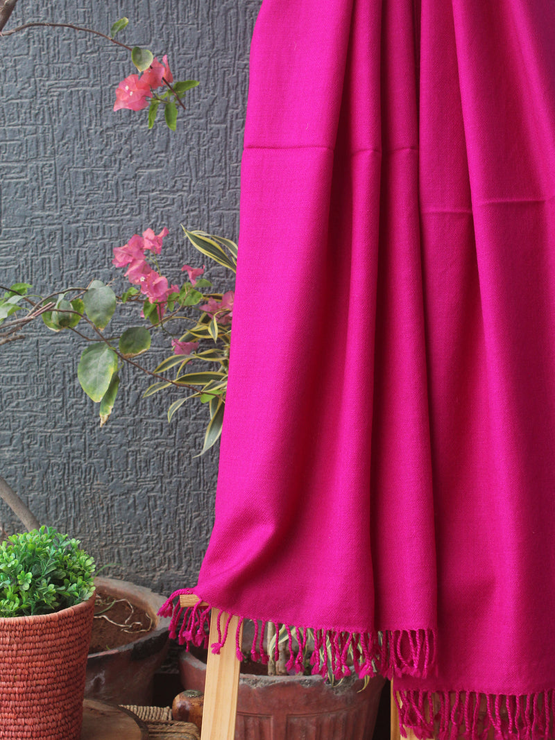 Pink Kullu Handloom Pure Wool Stole