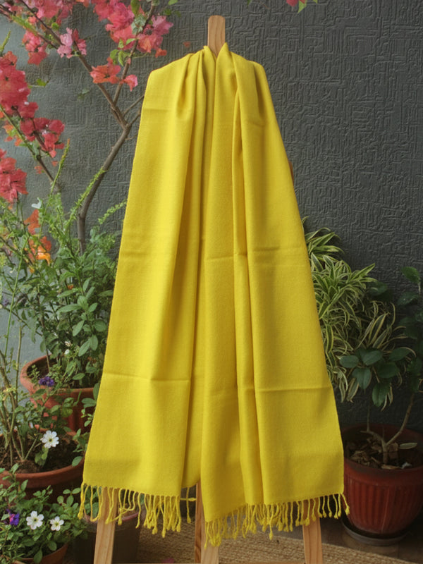 Yellow Kullu Handloom Pure Wool Stole